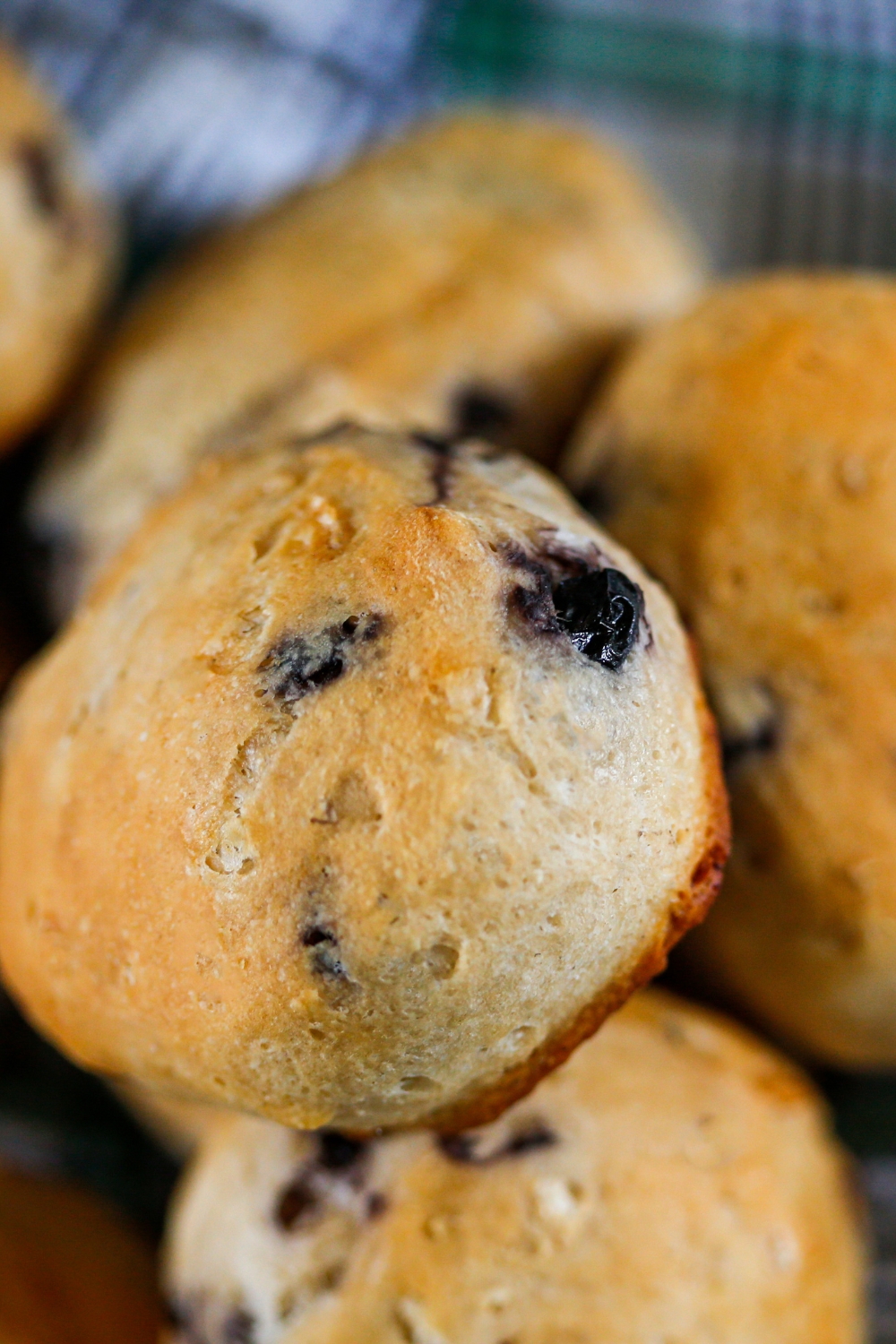 Blueberry Biscuits