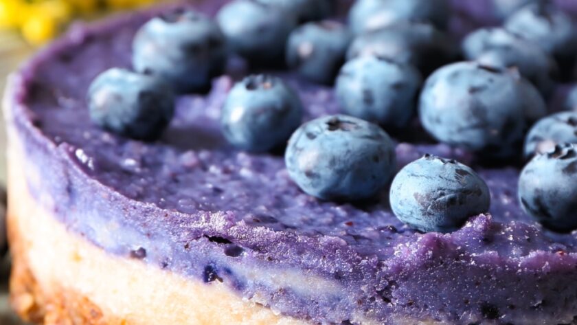 Blueberry Cheesecake