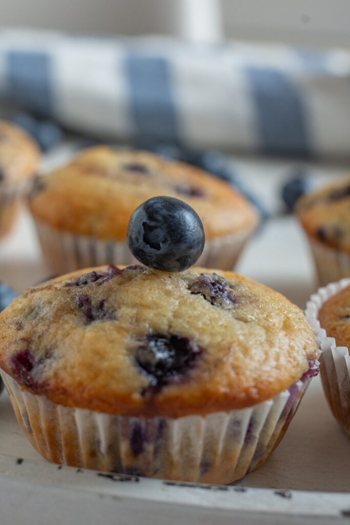 Blueberry Muffins