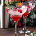 Thanksgiving Cranberry Martini