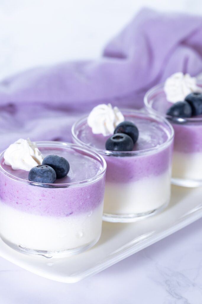 Blueberry Mousse Recipe