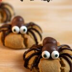 Halloween Spider Cookies