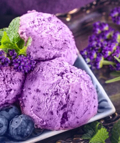 Homemade Blueberry Ice Cream