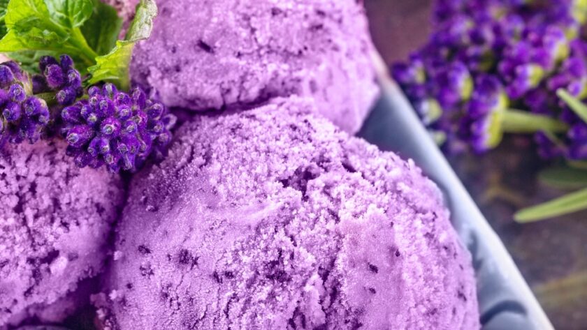 Homemade Blueberry Ice Cream