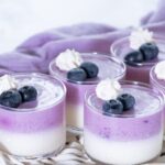 Blueberry Mousse Recipe