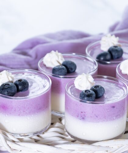 Blueberry Mousse Recipe