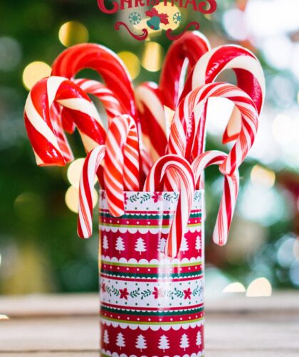 Christmas Candy Cane Cookies