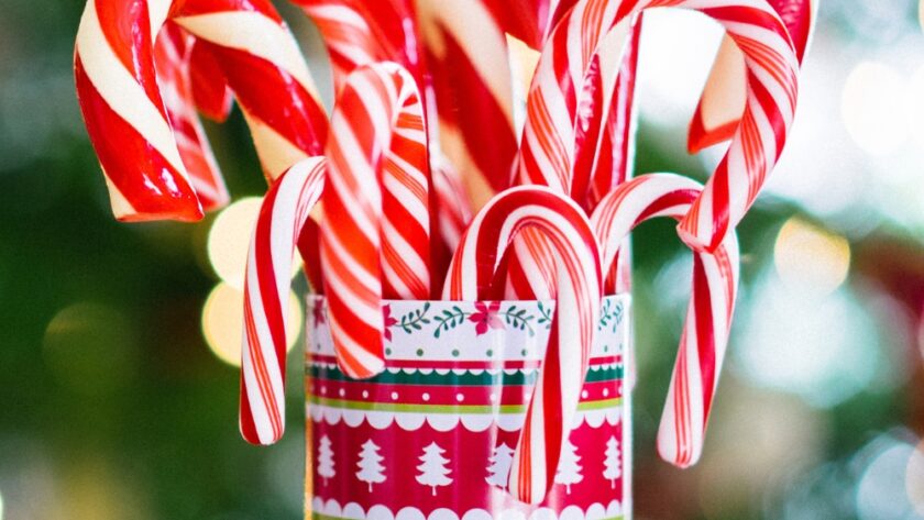 Christmas Candy Cane Cookies