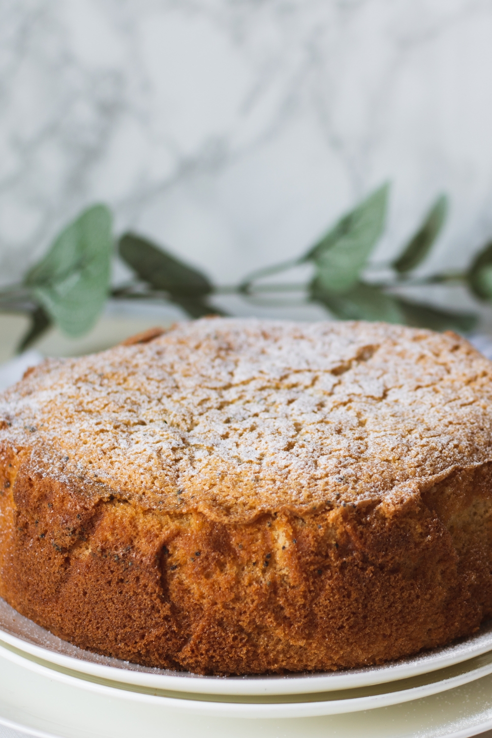 Lemon Olive Oil Cake