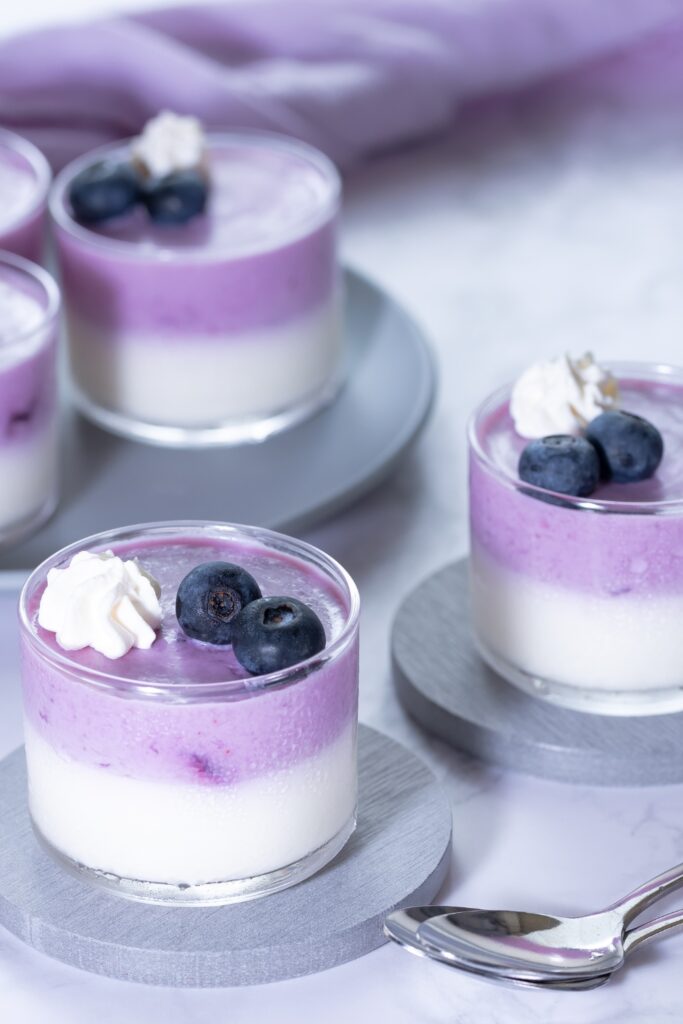 Blueberry Mousse Recipe