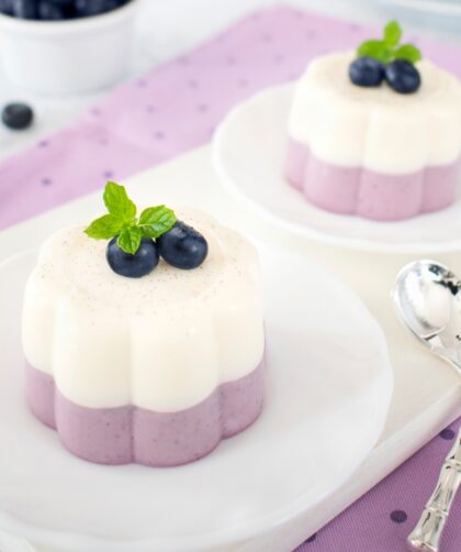 Blueberry Panna Cotta Recipe