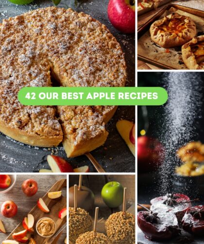 42 Our Best Apple Recipes