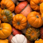 Are Pumpkins a Fruit or Vegetable?