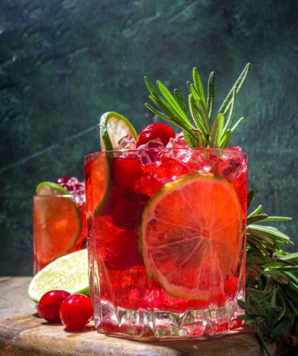 Cranberry Mojito Recipe