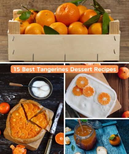 15 Best Tangerines Dessert Recipes