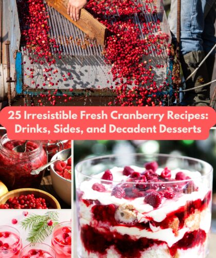 25 Irresistible Fresh Cranberry Recipes: Drinks, Sides, and Decadent Desserts