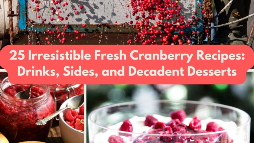 25 Irresistible Fresh Cranberry Recipes: Drinks, Sides, and Decadent Desserts