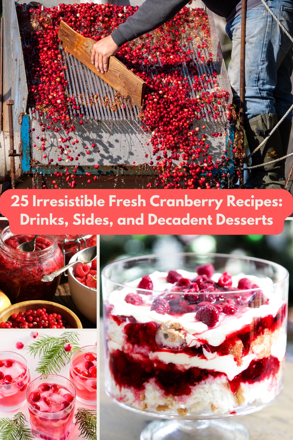 25 Irresistible Fresh Cranberry Recipes: Drinks, Sides, and Decadent Desserts