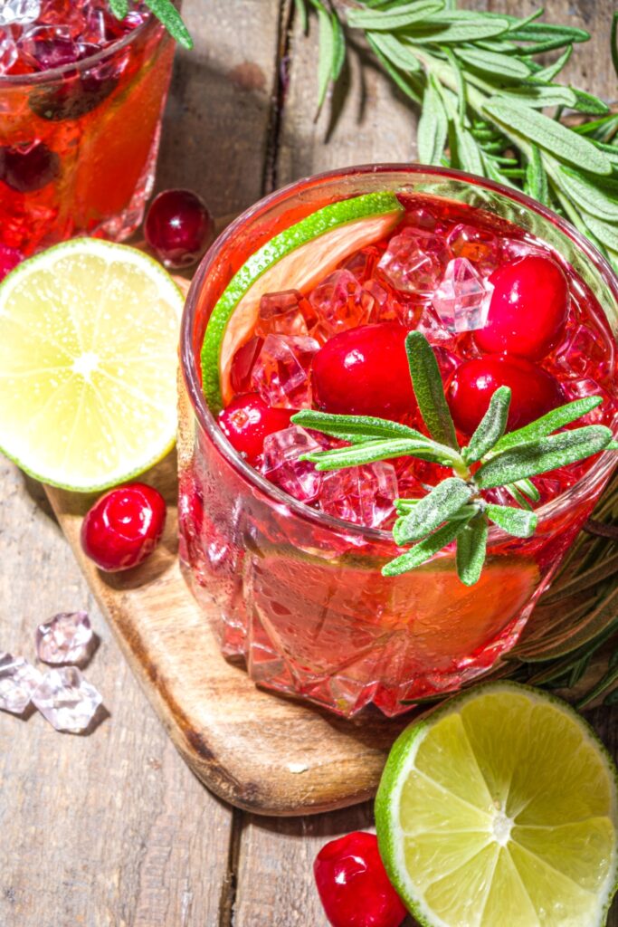 Cranberry Mojito Recipe