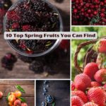 10 Top Spring Fruits You Can Find