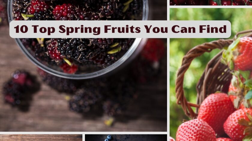 10 Top Spring Fruits You Can Find