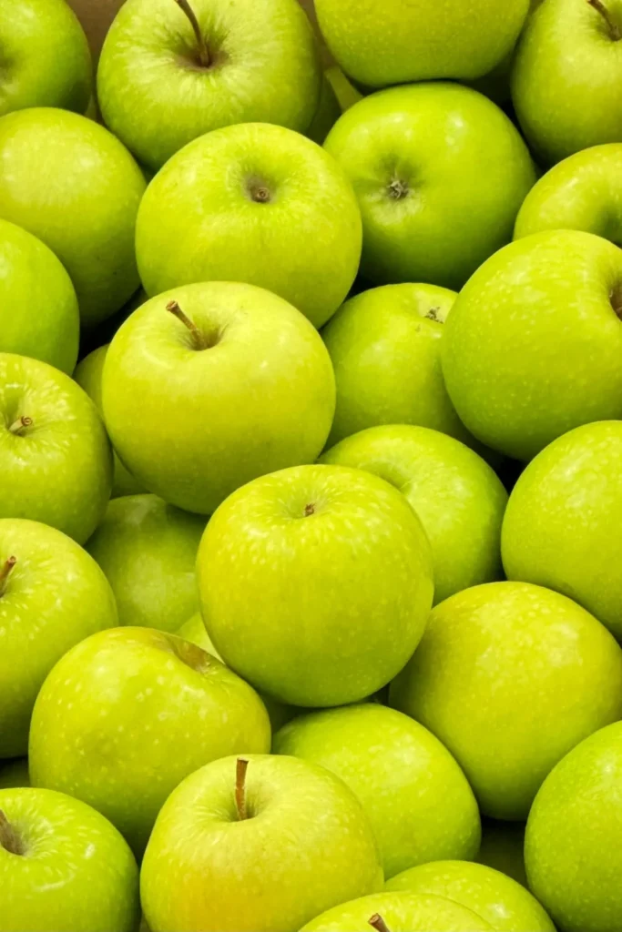 A Guide to Different Types of Apples 