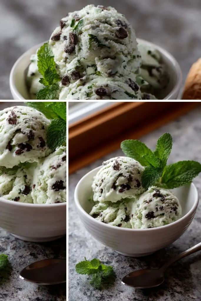 Pioneer Woman Mint Chip Ice Cream