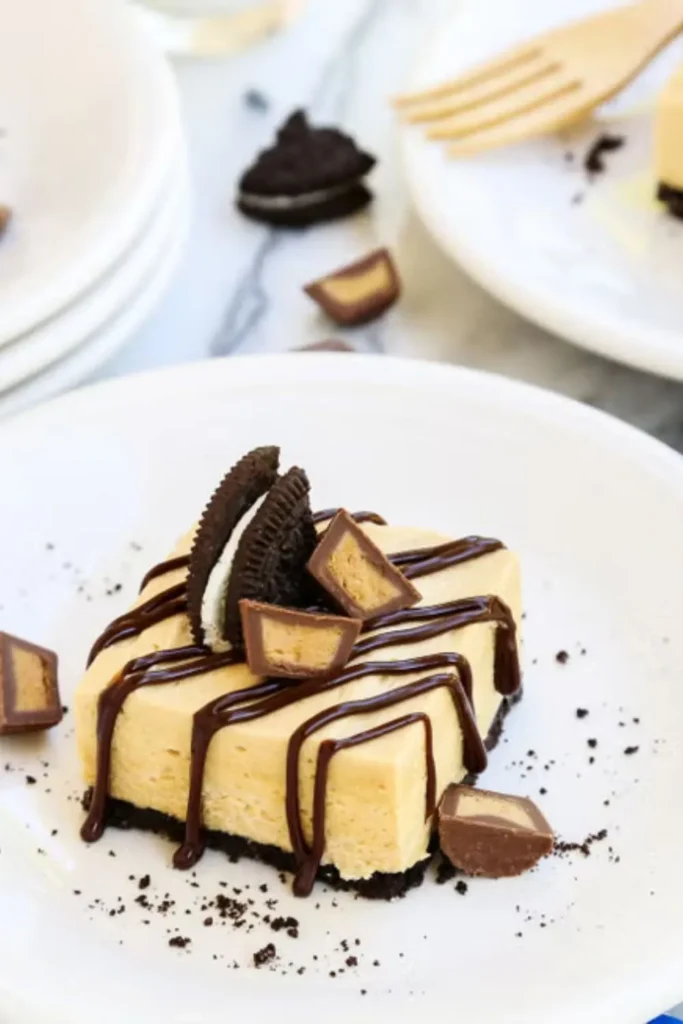 Pioneer Woman No-Bake Chocolate Peanut Butter Pie Bars