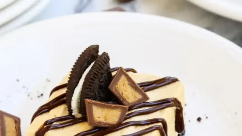 Pioneer Woman No-Bake Chocolate Peanut Butter Pie Bars