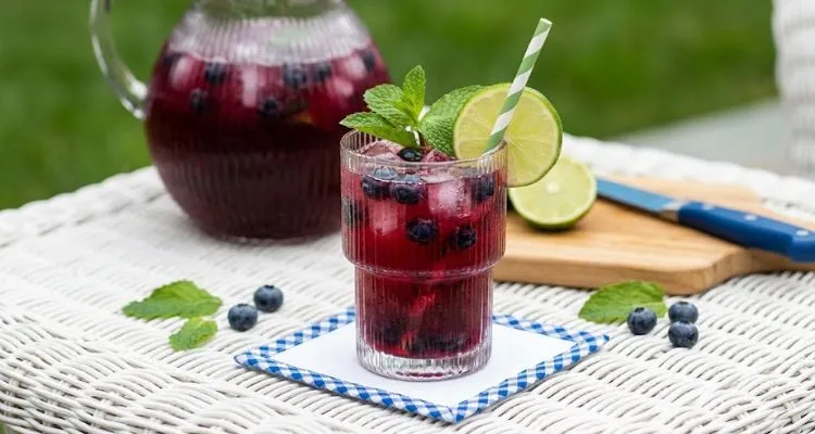Pioneer Woman Blueberry Mojitos